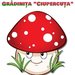 Ciupercuta - Gradinita sector 4